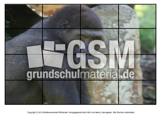 Puzzle-Gorilla-1.pdf